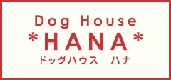 茨城県龍ヶ崎市のトリミングのことなら｜ドッグハウスHANA